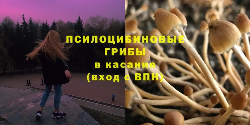 Галлюциногенные грибы MAGIC MUSHROOMS  Баксан 